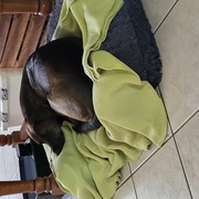 photo de livraison pour Rescapés de l'Enfer