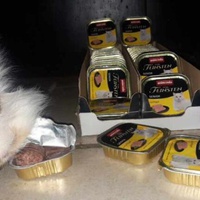 photo de livraison pour Les Chats de la Tour
