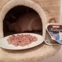 photo de livraison pour A Pas De Chats
