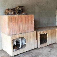 photo de livraison pour Sammelstelle für Tiere in Not e.V.