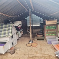 photo de livraison pour L'Arche de la Gazelle