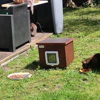 photo de livraison pour SOS Chats Libres Haut-Béarn