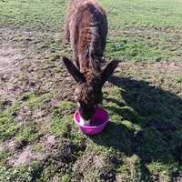 photo de livraison pour ADADA