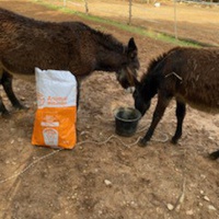 photo de livraison pour Equi-Vivre