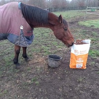 photo de livraison pour Arche et Relais