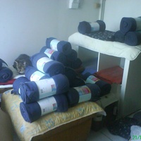 photo de livraison pour Pattes de Chats 50