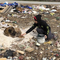 photo de livraison pour Civic Initiative Kane Korzo Skopje