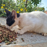 photo de livraison pour Kawthar Maree