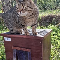 photo de livraison pour Contrôle & Protection des Chats Andréens