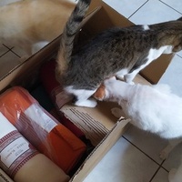 photo de livraison pour Une Maison pour la Vie
