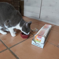 photo de livraison pour Felis Canis Association