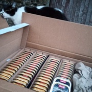 photo de livraison pour Catmondou