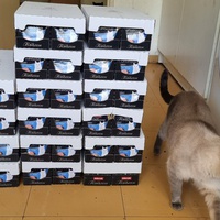 photo de livraison pour Chats Libres des Hauts Cantons de l'Hérault