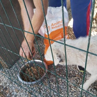 photo de livraison pour Innocente