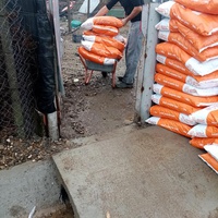 photo de livraison pour Daniela Elena Sandoiu
