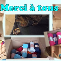photo de livraison pour Association AmiCat