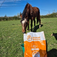 photo de livraison pour Arche et Relais