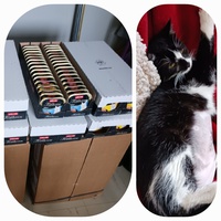 photo de livraison pour 3 Ptits Chats 76