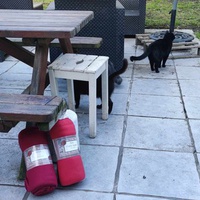 photo de livraison pour Patounes de Chats