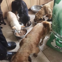 photo de livraison pour ПРИХВАТИЛИШТЕ ДРАЖЕВАЦ