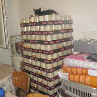 photo de livraison pour Chat Libre de l'Ile du Ramier