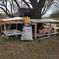 photo de livraison pour Castel Cats