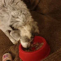 photo de livraison pour AVRAH