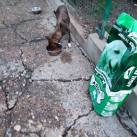 photo de livraison pour Ivana Nikolić