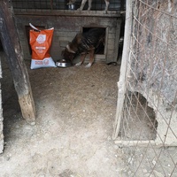photo de livraison pour Ramona Ciprian Rotunjeanu