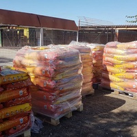 photo de livraison pour Nobody's Dog France