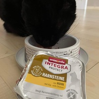 photo de livraison pour Chat Suffit a.sb.l.