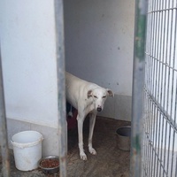 photo de livraison pour Cambiando Miradas