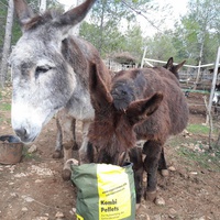 photo de livraison pour Equi-Vivre