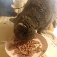 photo de livraison pour CAPPA