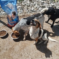 photo de livraison pour Sapa u srcu