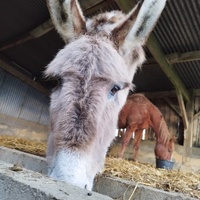 photo de livraison pour Sanctuaire Paradis d'Animaux