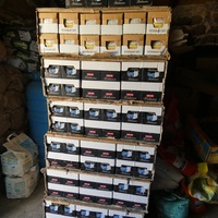 photo de livraison pour Jardin des Chats