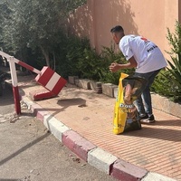 photo de livraison pour L'Arche de Noé