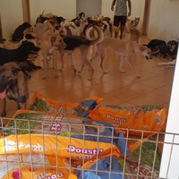 photo de livraison pour Sanctuaire de la Faune de Tanger (SFT)