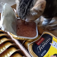 photo de livraison pour Les Pattounes de l'Espoir