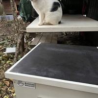 photo de livraison pour Les chats de chez nous
