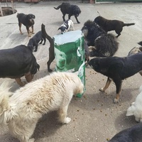 photo de livraison pour ПРИХВАТИЛИШТЕ ДРАЖЕВАЦ