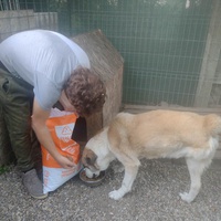 photo de livraison pour Innocente