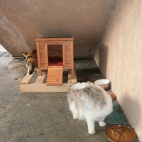 photo de livraison pour Protection Animale Berroise