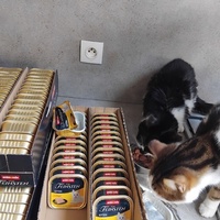 photo de livraison pour Chez Minou