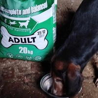 photo de livraison pour Beta Zajecar