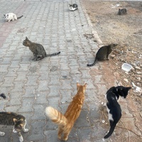 photo de livraison pour Kawthar Maree