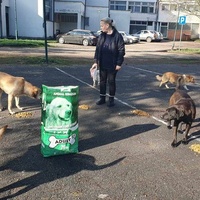 photo de livraison pour Beta Zajecar