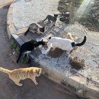 photo de livraison pour Kawthar Maree