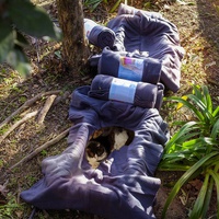 photo de livraison pour Contrôle & Protection des Chats Andréens